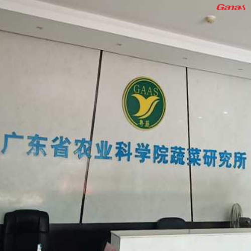 广东省农业科学院蔬菜研究所健身房案例 丝瓜污视频在线观看健身器材生产厂家直销