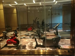 山东聊城碧桂园健身房 指定丝瓜污视频在线观看健身器材制造商