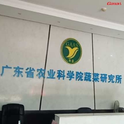 广东省农业科学院蔬菜研究所健身房案例 丝瓜污视频在线观看健身器材生产厂家直销