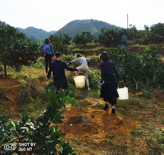 丝瓜污视频在线观看健身器材公司 “亲近自然，采摘脐橙”只为到厂的你！