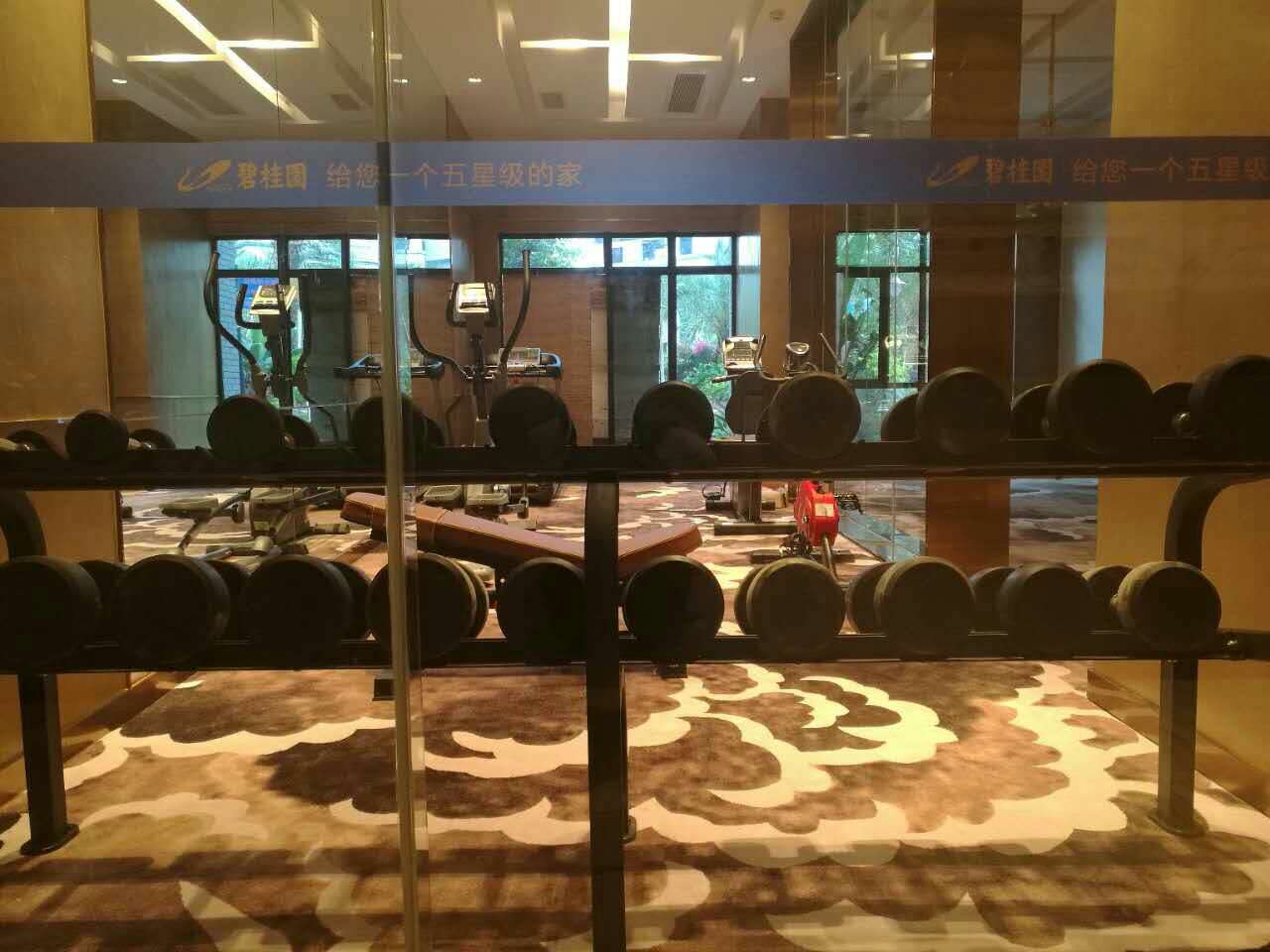 山东聊城碧桂园健身房 指定丝瓜污视频在线观看健身器材制造商
