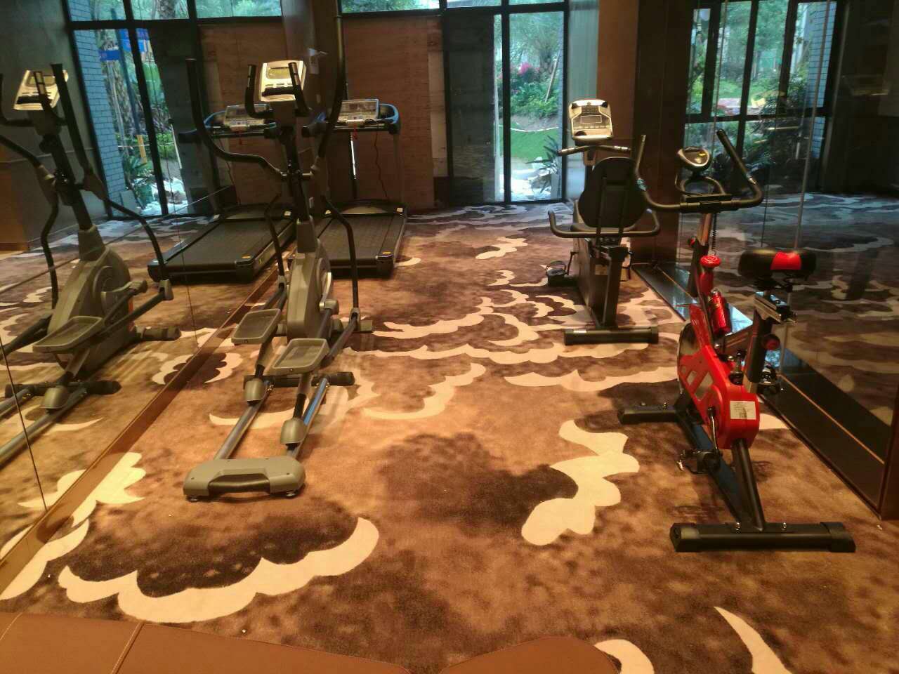 山东聊城碧桂园健身房 指定丝瓜污视频在线观看健身器材制造商